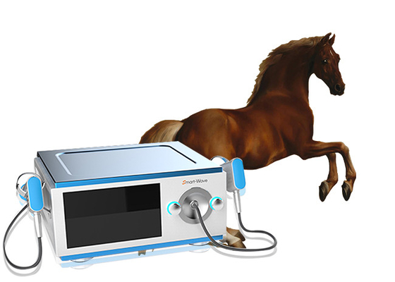 Оборудование терапией ударной волны малошумной лошади Экине для боли БС-СВТ5000