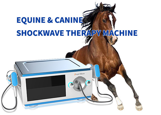 Оборудование терапией ударной волны малошумной лошади Экине для боли БС-СВТ5000